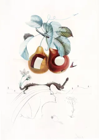 版画 Dali - Flordali - Fruits Troués