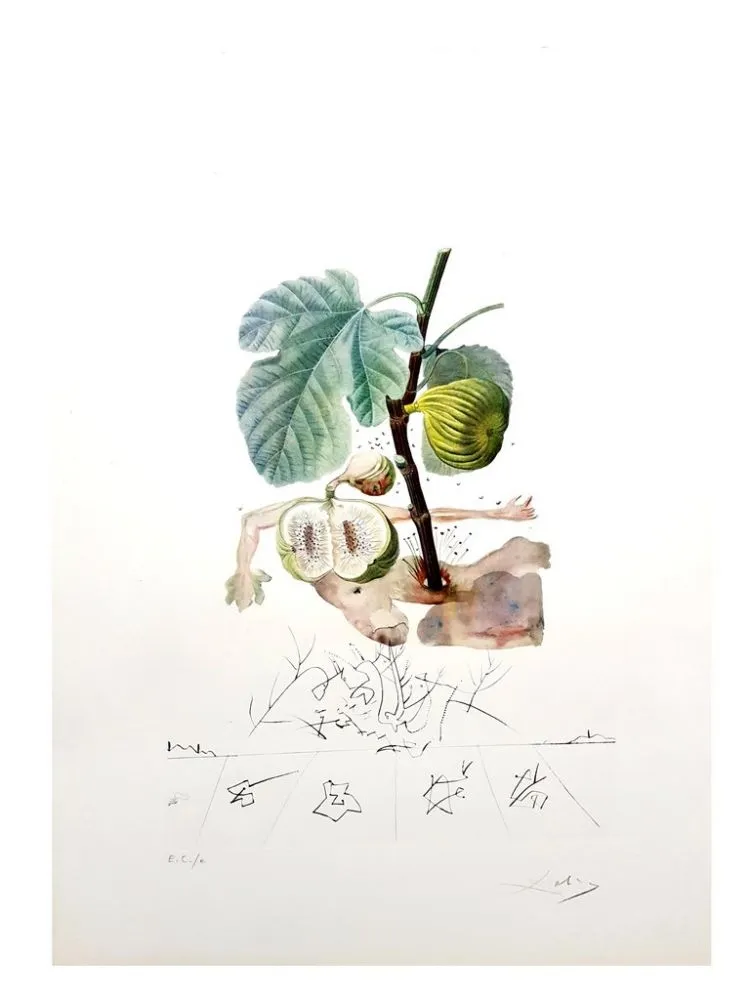 版画 Dali - Flordali - Homme Figuier