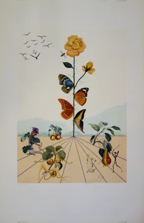 石版画 Dali - Flordali II - La rose papillon