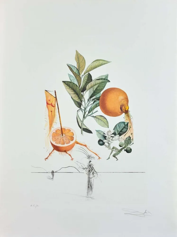 版画 Dali - Flordali - Pamplemousse Erotique
