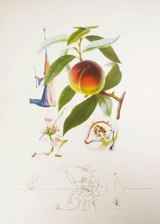 版画 Dali - Flordali - Pêcher Pénitent
