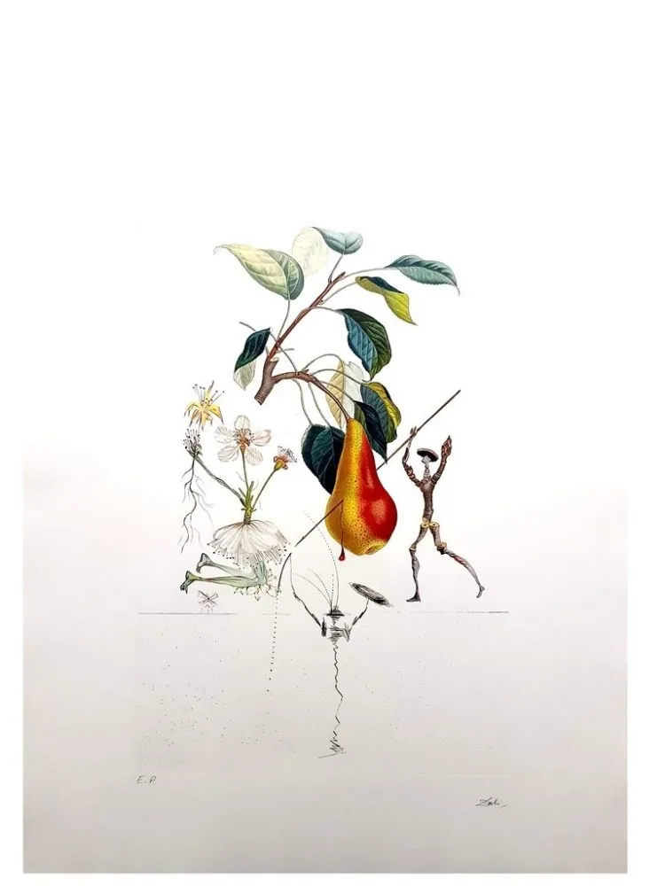 版画 Dali - Flordali - Poire Don Quixote