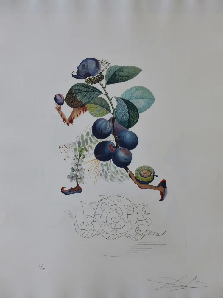 版画 Dali - Flordali - Prunier Hatif