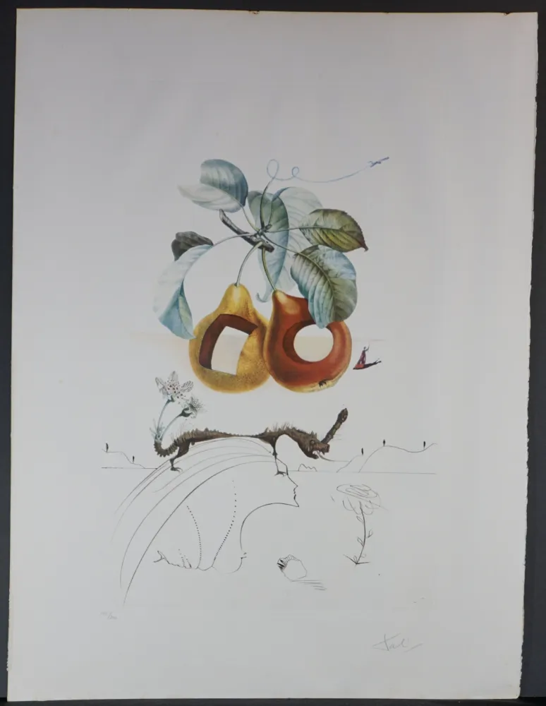 版画 Dali - FlorDali/Le Fruits Fruit With Holes