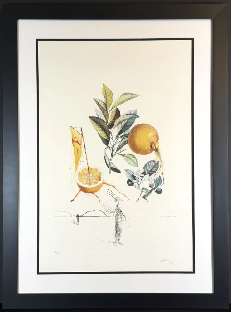 版画 Dali - FlorDali/Les Fruits Grapefruit