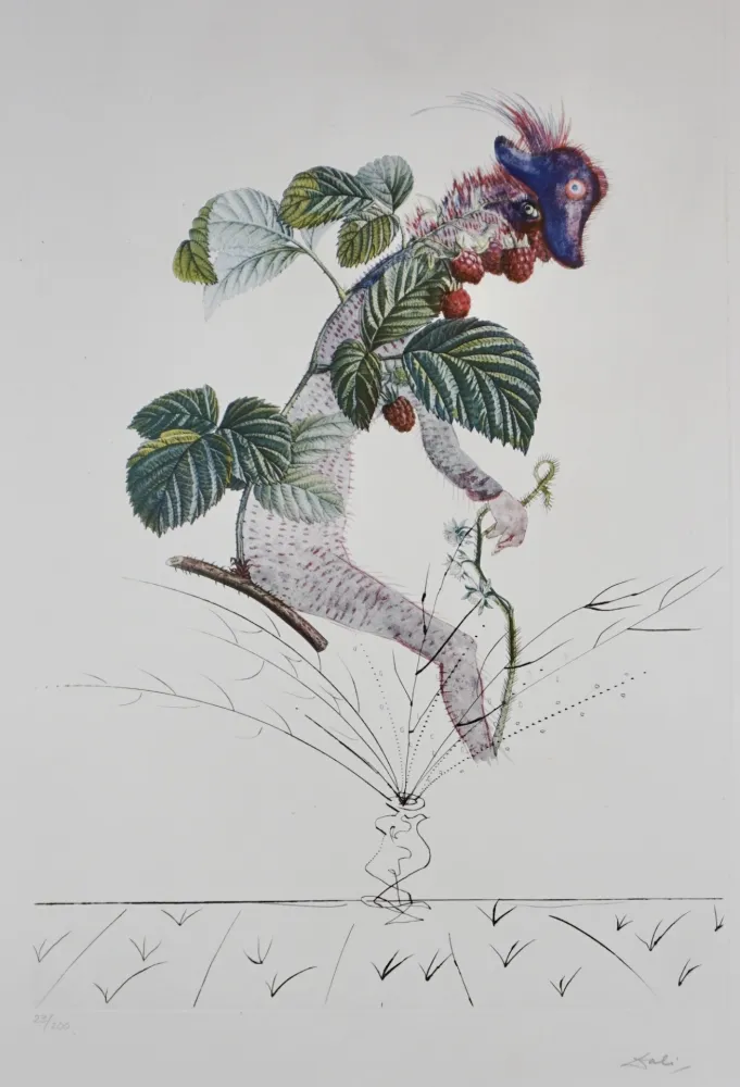 版画 Dali - FlorDali/Les Fruits Raspberry
