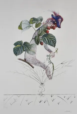 版画 Dali - FlorDali/Les Fruits Raspberry
