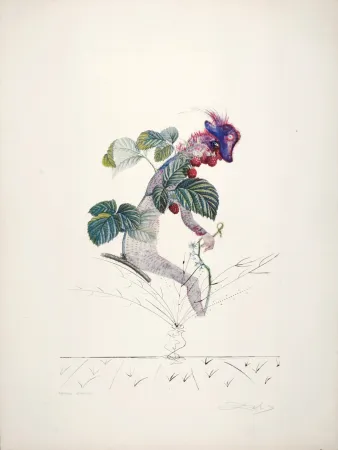 复数作品 Dali - Framboisier, 1969-1970 - Hand-signed!