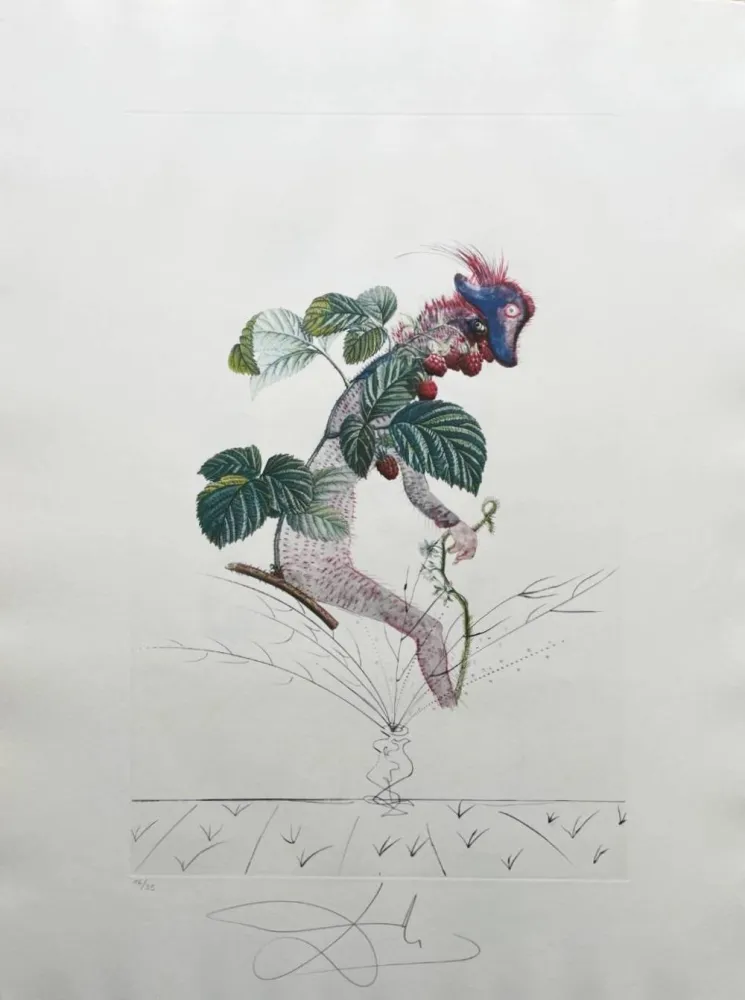 石版画 Dali - Framboisier (Raspberry Bush)