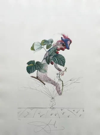 石版画 Dali - Framboisier (Raspberry Bush)