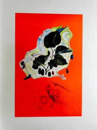 版画 Dali - Fruits Blackberries