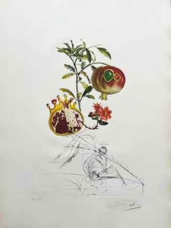 石版画 Dali - Grenade et l’ange (Pomegranate and Angel)