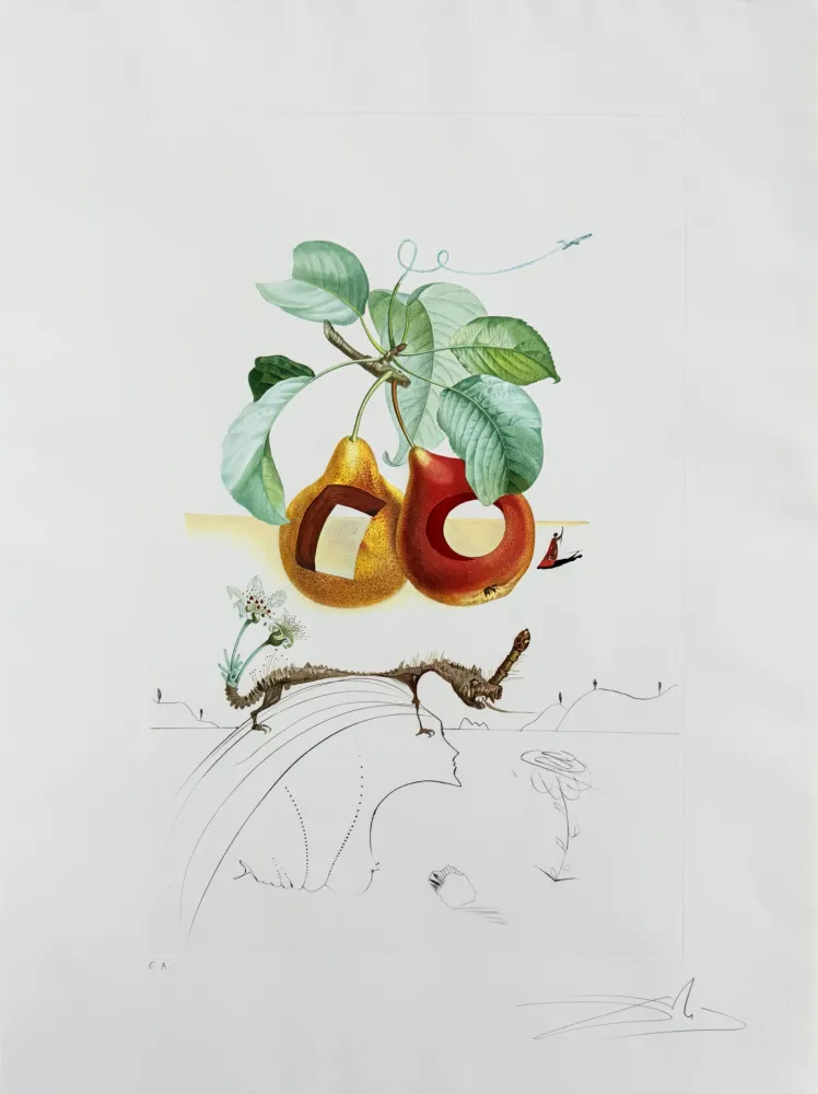 石版画 Dali - Holed Fruit from Flordali suite
