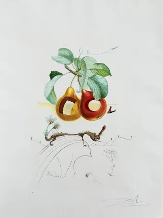 石版画 Dali - Holed Fruit from Flordali suite
