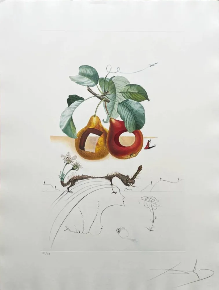 石版画 Dali - Holed Fruit from Flordali suite