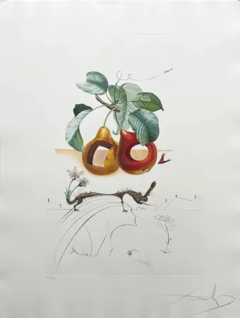 石版画 Dali - Holed Fruit from Flordali suite