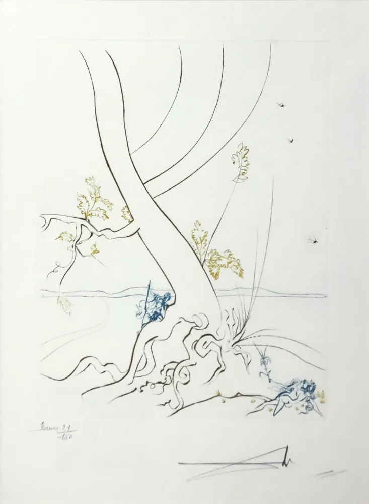 蚀刻版画 Dali - L'ARBREDE CONNAISSANCE (THE TREE OF KNOWLEDGE)