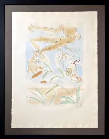 蚀刻版画 Dali - Le Chêne et le Roseau (The Oak and the Reed)