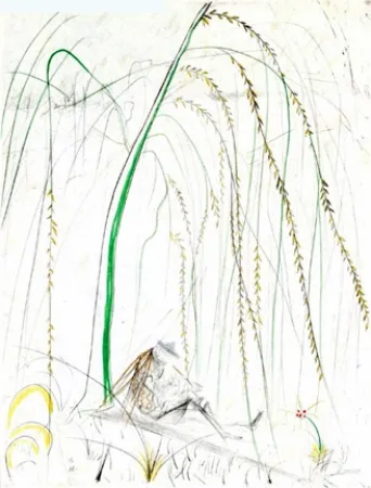 版画 Dali - Le Saule Pleurer (Weeping Willow)