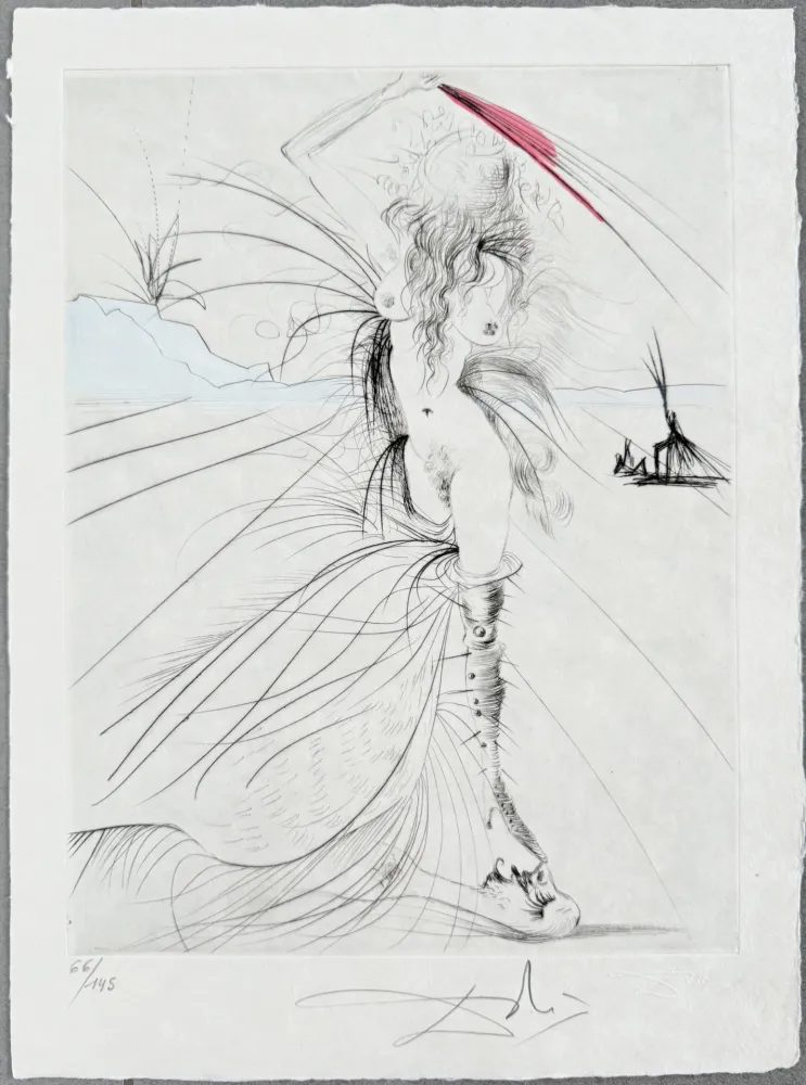 版画 Dali - Les Aigrettes