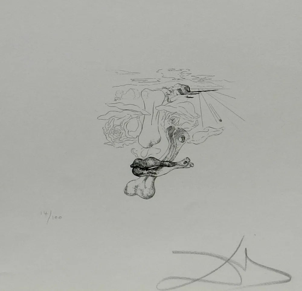 版画 Dali - Les Chantes de Maldoror Carnal Transfiguration