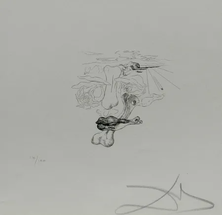 版画 Dali - Les Chantes de Maldoror Carnal Transfiguration