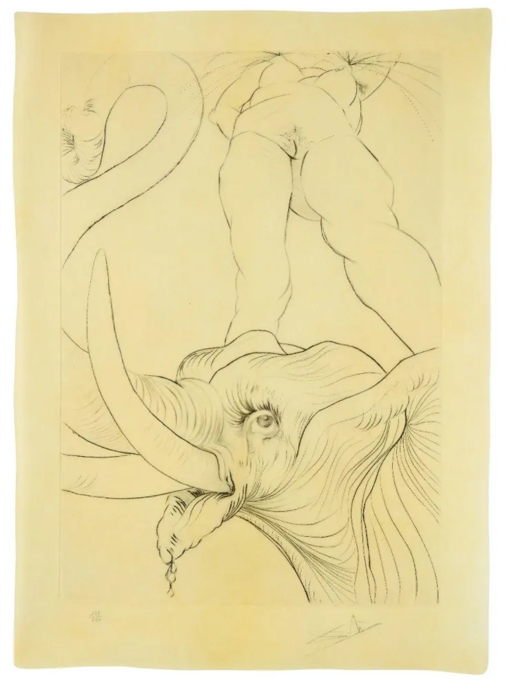 干刻版画 Dali - 