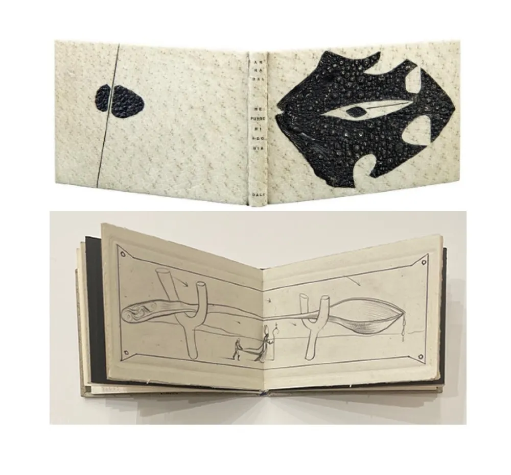 插图书 Dali - ME PUDRE MI AGONIA