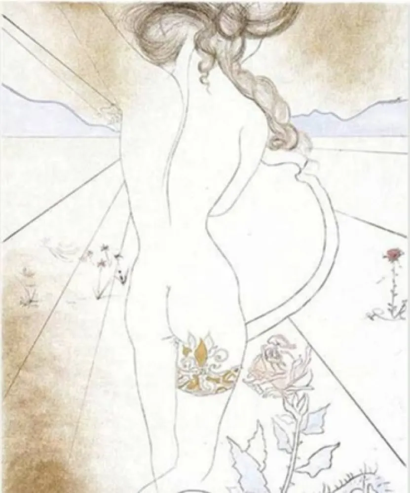 丝网印刷 Dali - Nu a la Jarretiere (Nude with Garter)