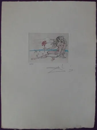 蚀刻版画 Dali - Nude with rose