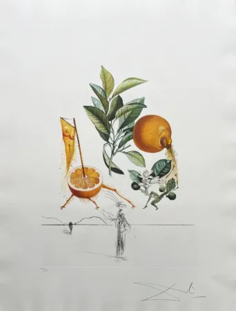 石版画 Dali - Pamplemousse érotique (Erotic Grapefruit)