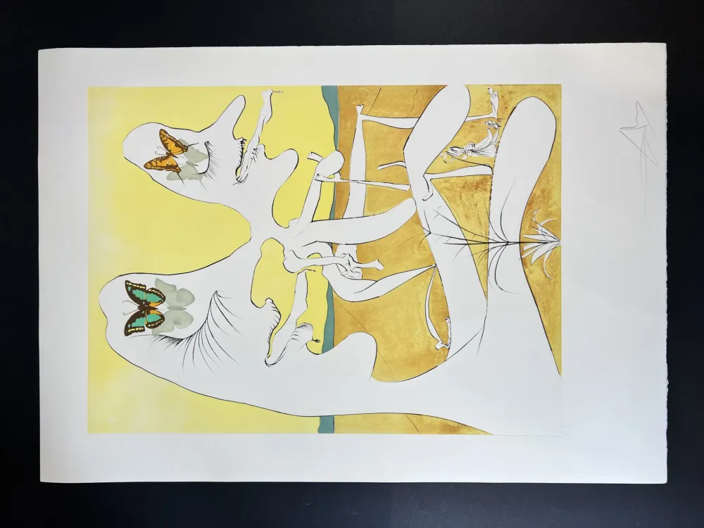 复数作品 Dali - Papillons de l’anti-matière