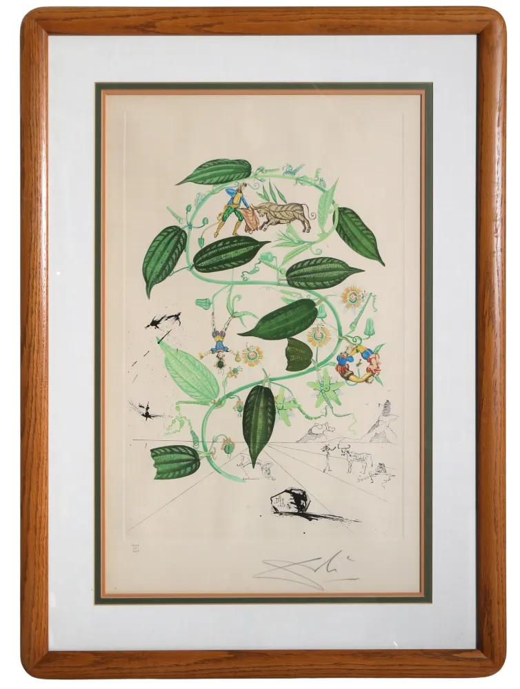版画 Dali - Passiflora Laurigera