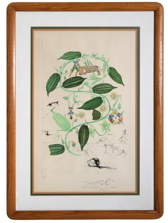 版画 Dali - Passiflora Laurigera