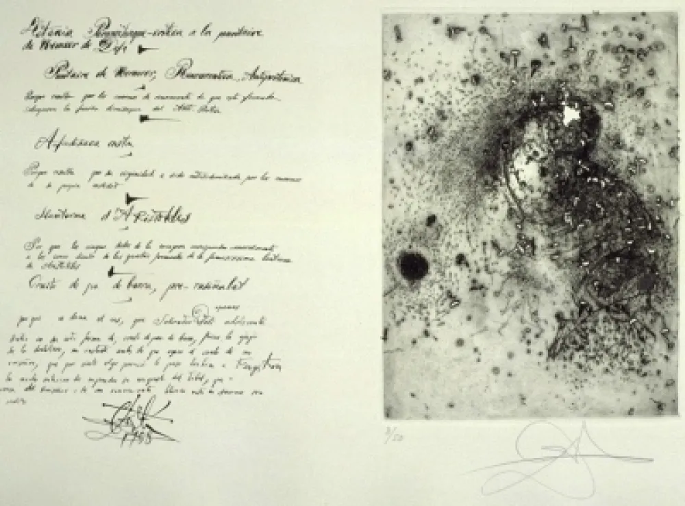 版画 Dali - Puntaire de Vermeer (La Dentellière)