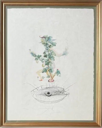 石版画 Dali - Révérence du groseillier (Curtsying Gooseberry Bush)