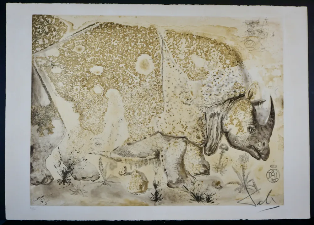 版画 Dali - Rhinoceros