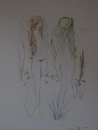 蚀刻飞尘法 Dali - Sans titre