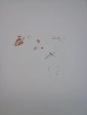 复数作品 Dali - Senza titolo, da la serie 