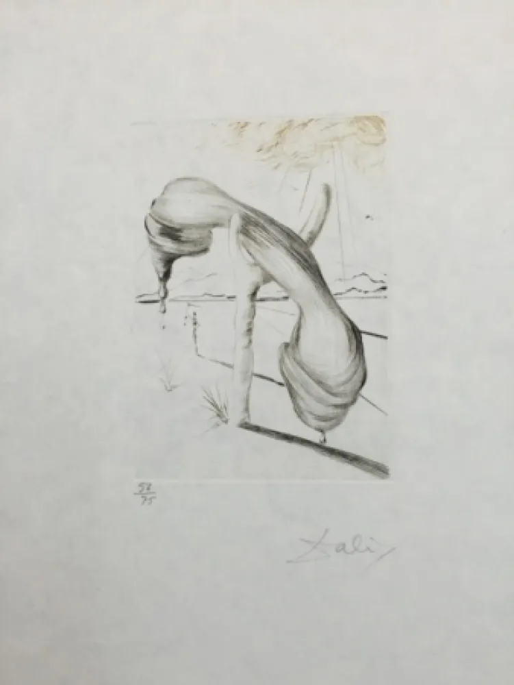 蚀刻飞尘法 Dali - Telephone mou