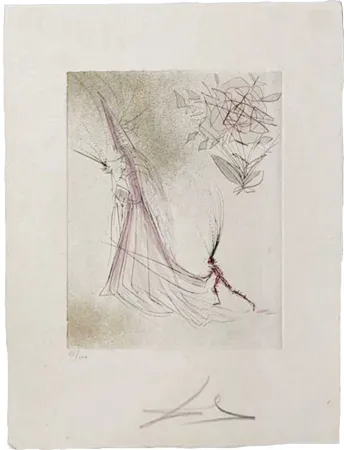 干刻版画 Dali - The Ghost and the Rose (The Spectre and the Rose)
