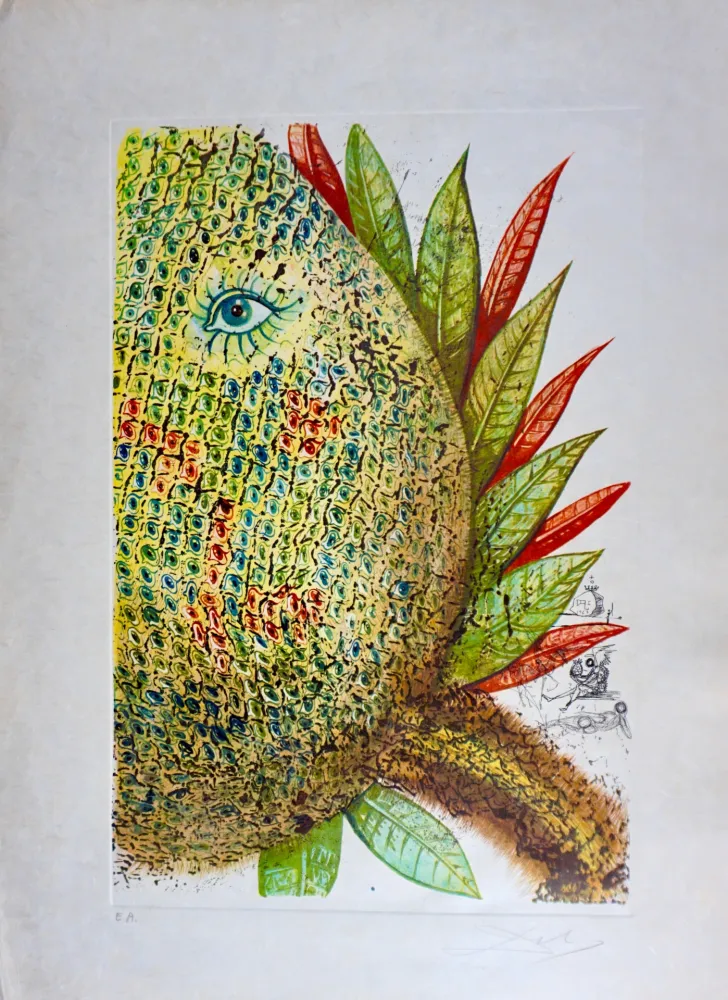 版画 Dali - Vegetation Inedit (Pineapple)
