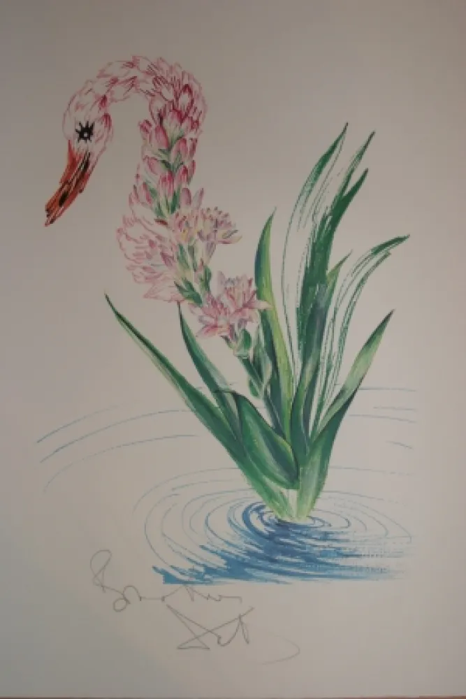 石版画 Dali - Water-Hybiscus Swan (surrealistic flowers)