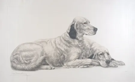 版画 Danchin - Deux Setters couchés (Setters au repos) - Two English Setters at rest