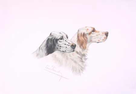 石版画 Danchin - Deux têtes de Setters - Two Setters heads (Original)