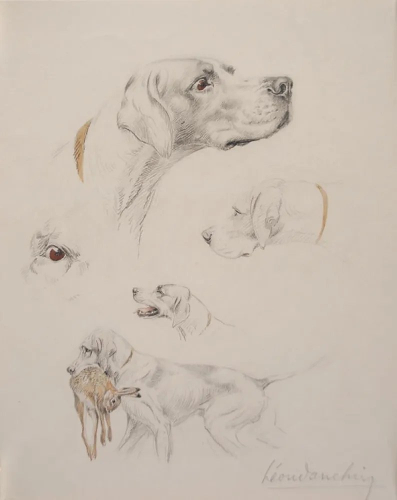 无技术 Danchin - Etude de pointer