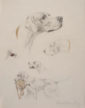 无技术 Danchin - Etude de pointer