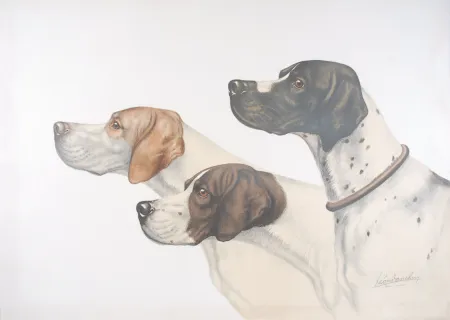 石版画 Danchin - Three Pointer head - Trois têtes de Pointer (Original)