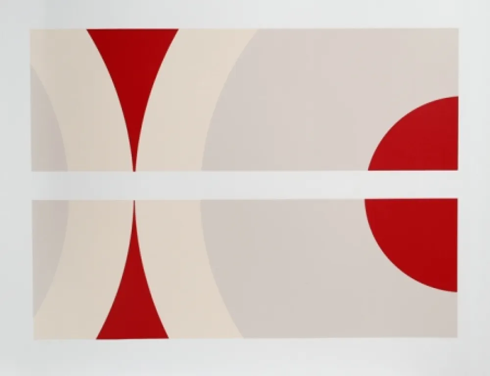 丝网印刷 Daphnis - SS 12-78