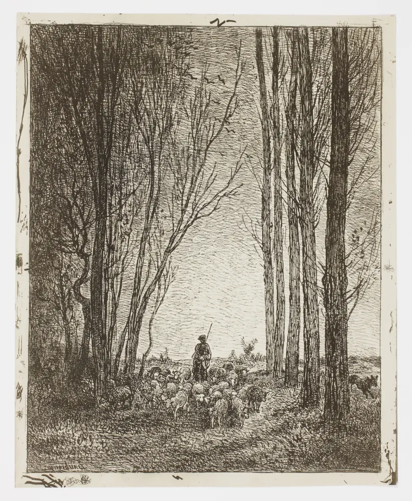 无技术 Daubigny - La Rentrée du Troupeau (Return of the Flock)